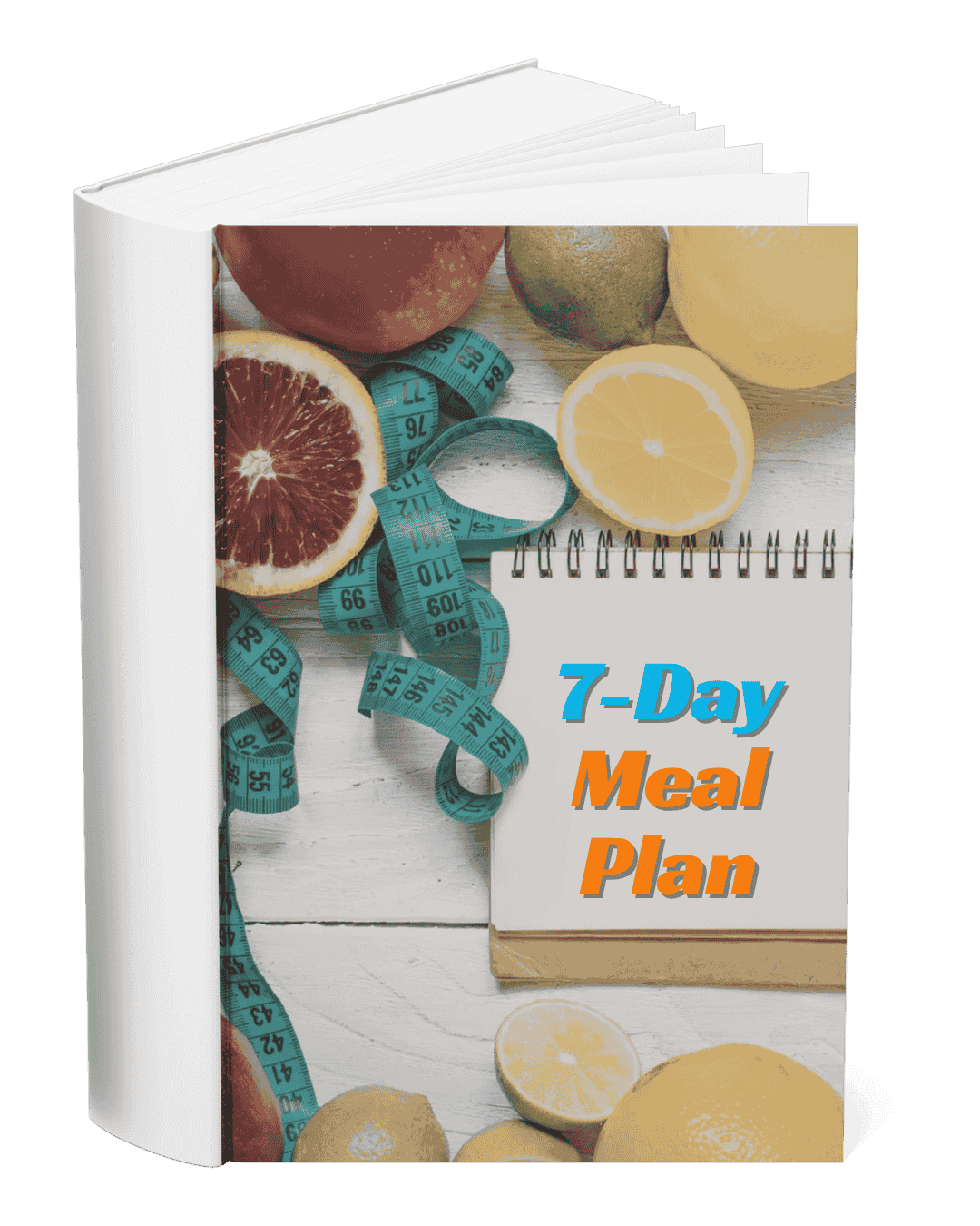 Personalised Indian meal plan booklet